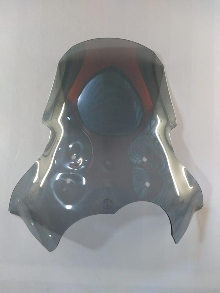 PARA BRISA (BOLHA) BMW G 650 GS 12/19