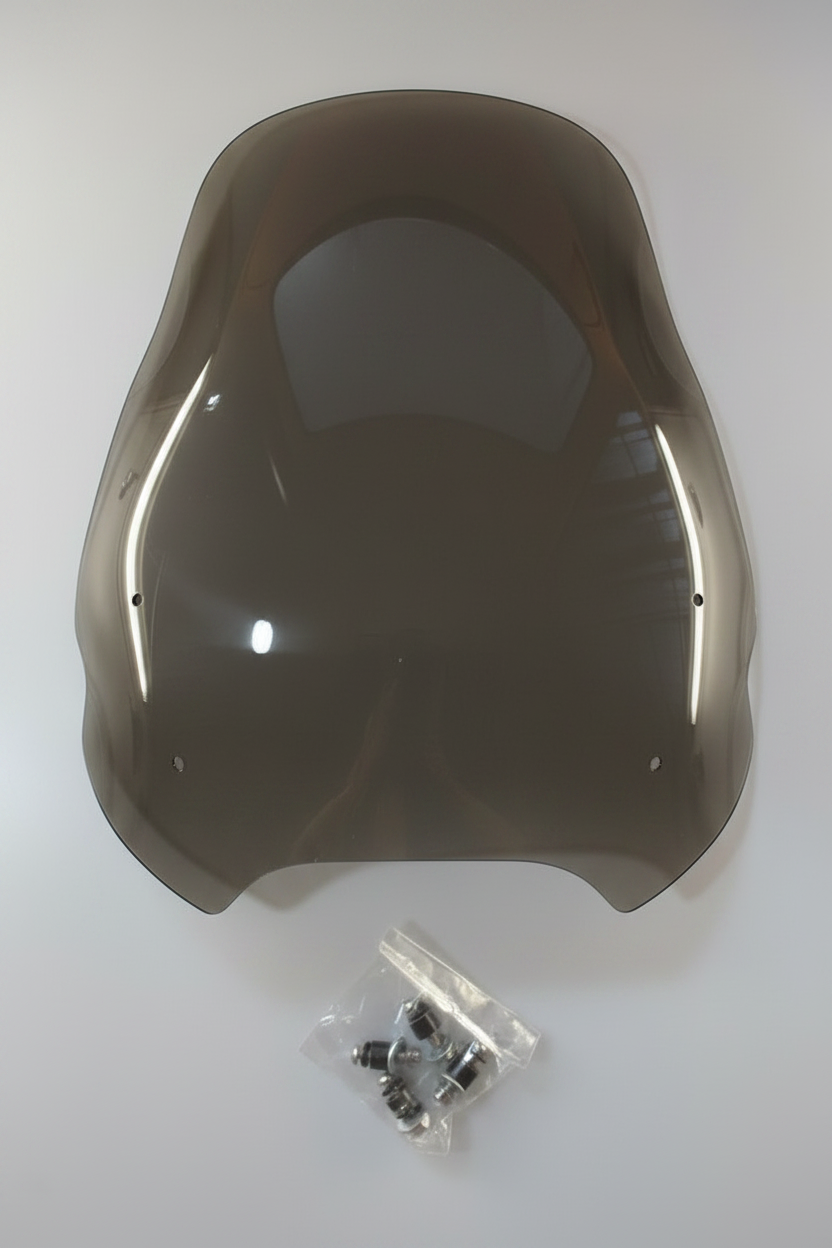 PARA BRISA BOLHA BUELL ULYSSES XB12X 06/09