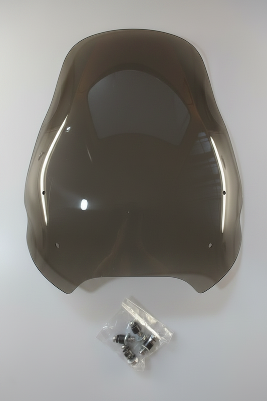 PARA BRISA BOLHA BUELL ULYSSES XB12X 06/09